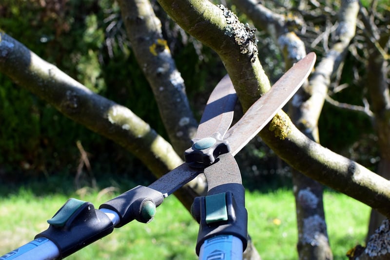 Magic pruning shears