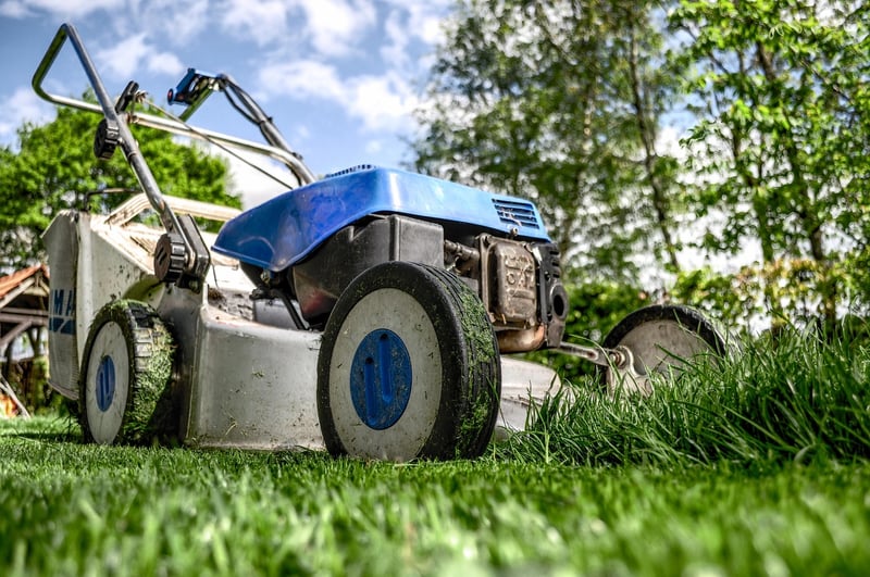 Magical garden maintenance