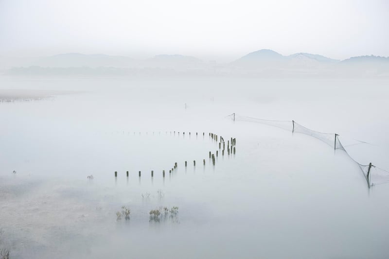 Mystical waterscapes