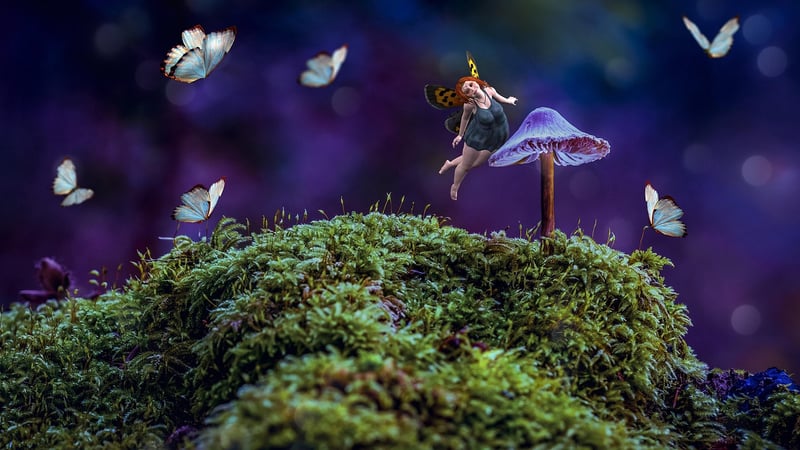 Fairy Dust Plant Food
