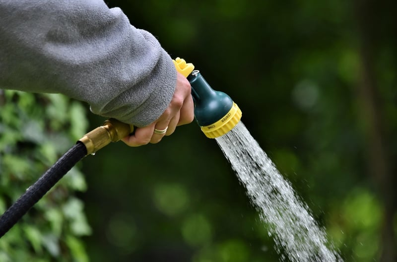 Wizard's Watering Can